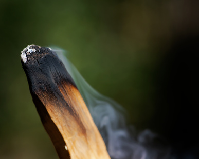 Burning Palo Santo stick